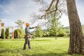 Best Weed Control  in Mayo, MD